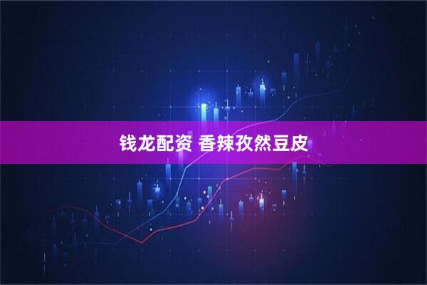 钱龙配资 香辣孜然豆皮