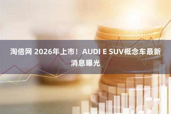 淘倍网 2026年上市！AUDI E SUV概念车最新消息曝光